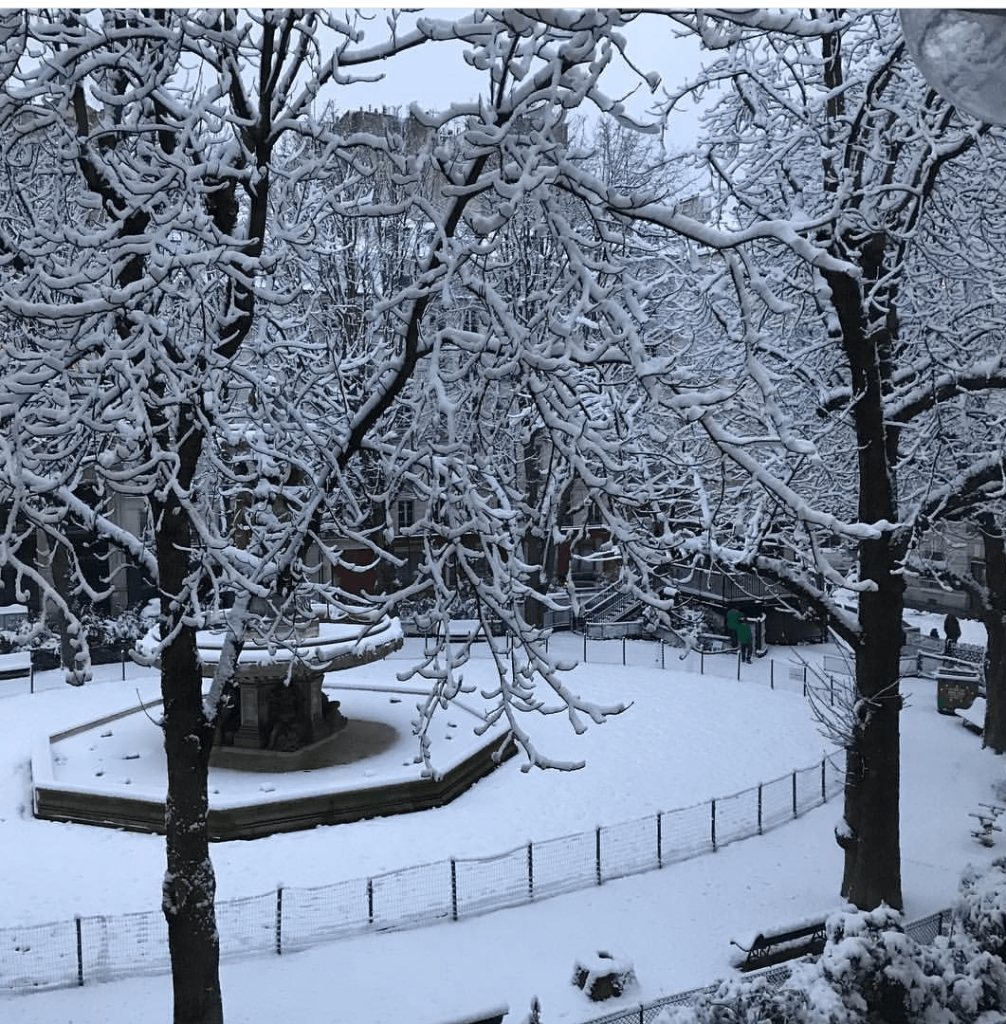 Verhaal, foto's en video: 'Hevige sneeuwval in Parijs'