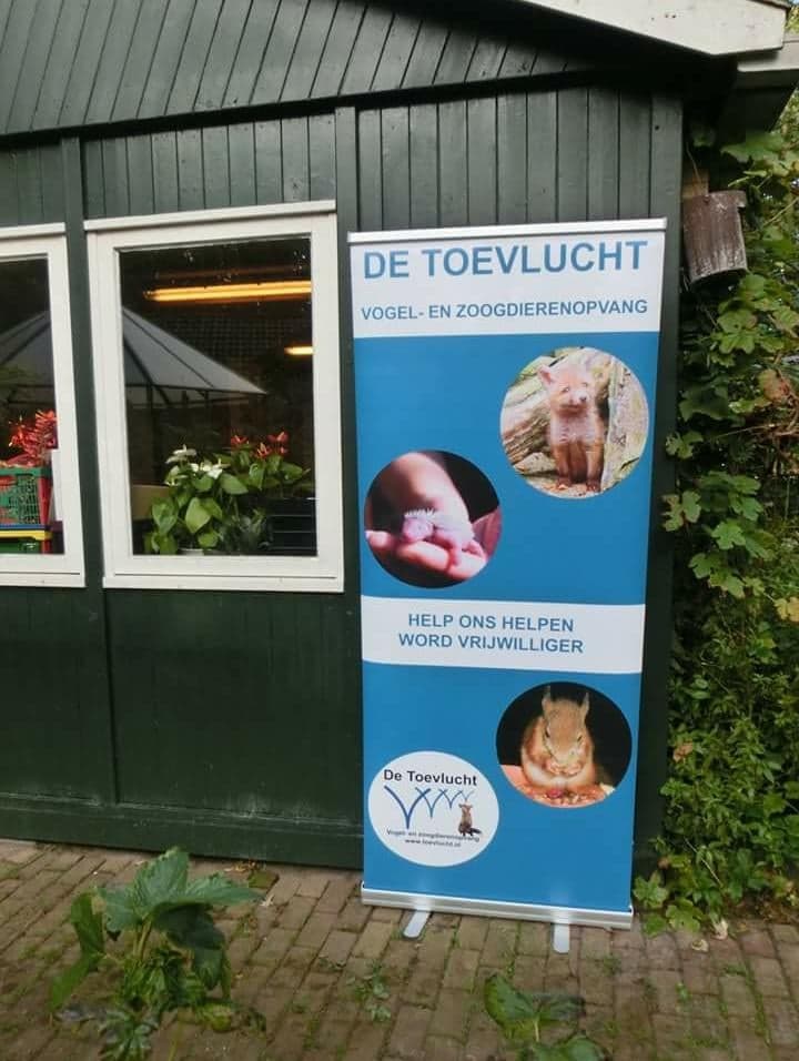 Dierenopvang De Toevlucht organiseert zaterdag 30 juni Open Dag Maar liefst 11 jonge vossen, een boel egels, zwanen, bunzings en een hoop andere wilde dieren openen op zaterdag 30 juni de deuren van dierenopvang De Toevlucht voor het grote publiek
