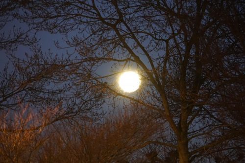 Prachtige verschijning 'Bloedmaan' boven Amsterdam
