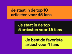 Het verhaal van muziekartiest Stan Groenewoud