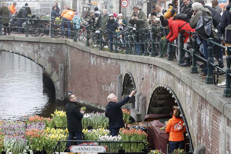 Vooruitblik op de Nationale Tulpendag in Amsterdam