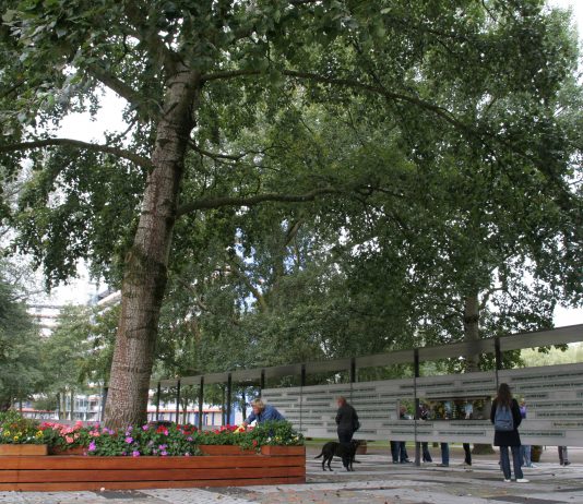 Wat te doen in Amsterdam op woensdag 4 oktober 2017
