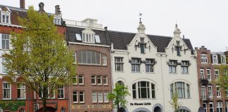 De Nieuwe Liefde: Culturele toe-eigening
