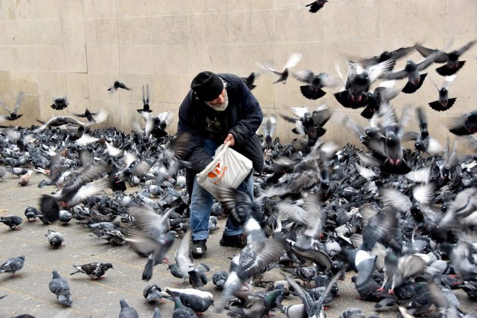 Vogeltjes voeren? Voortaan niet meer overal