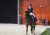 Brouwer en Moerings winnaars Agterberg en Stal Bosgoed prijs Brouwer en Moerings winnaars Agterberg en Stal Bosgoed prijs