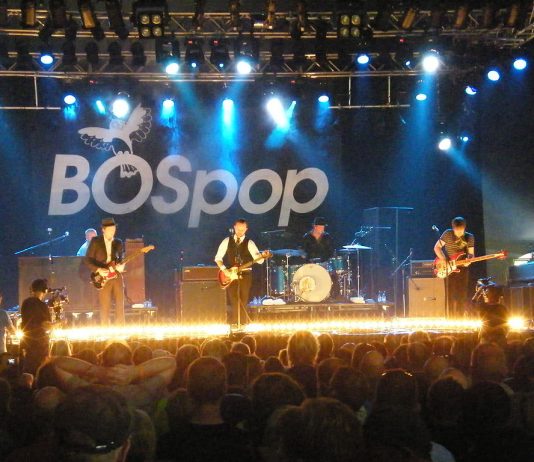 TIEN NIEUWE NAMEN BOSPOP 2018 TOEGEVOEGD TIEN NIEUWE NAMEN BOSPOP 2018 TOEGEVOEGD