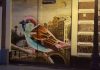 Amsterdam – Leuke dingen doen – donderdag 19 april Amsterdam - Leuke dingen doen - donderdag 19 april