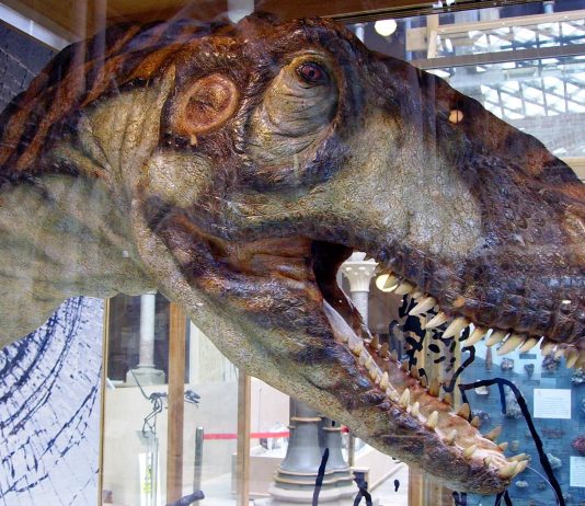‘S WERELDS GROOTSTE DINOSHOW KOMT TERUG NAAR NEDERLAND