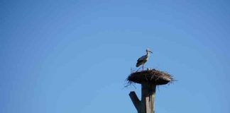 Amsterdam – Leuke dingen doen – maandag 7 mei Amsterdam - Leuke dingen doen - maandag 7 mei