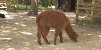 Amsterdam – Leuke dingen doen – zondag 17 juni Amsterdam - Leuke dingen doen – zondag 17 juni
