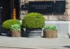 Conservatorium Hotel primeurt met speciale Graduation Cake
