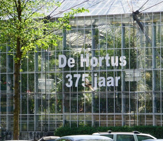 Bijzondere muziek op sfeervolle locaties tijdens Hortusfestival Bijzondere muziek op sfeervolle locaties tijdens Hortusfestival
