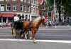 Bye bye: paard, wagen én zware vrachtwagen Bye bye: paard, wagen én zware vrachtwagen “Amsterdam scherpt het beleid voor het toelaten van zwaar vrachtverkeer in de binnenstad aan. Dit omdat bruggen en kades zuchten en steunen onder de zware last. Bruggen en kades werden ontworpen in de tijd van paard en wagen.