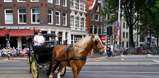 Bye bye: paard, wagen én zware vrachtwagen “Amsterdam scherpt het beleid voor het toelaten van zwaar vrachtverkeer in de binnenstad aan. Dit omdat bruggen en kades zuchten en steunen onder de zware last. Bruggen en kades werden ontworpen in de tijd van paard en wagen.