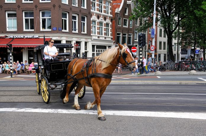 Bye bye: paard, wagen én zware vrachtwagen “Amsterdam scherpt het beleid voor het toelaten van zwaar vrachtverkeer in de binnenstad aan. Dit omdat bruggen en kades zuchten en steunen onder de zware last. Bruggen en kades werden ontworpen in de tijd van paard en wagen.