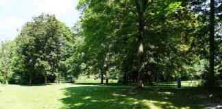Amsterdam – Leuke dingen doen – donderdag 23 augustus Rembrandtpark-amsterdam 3.JPG