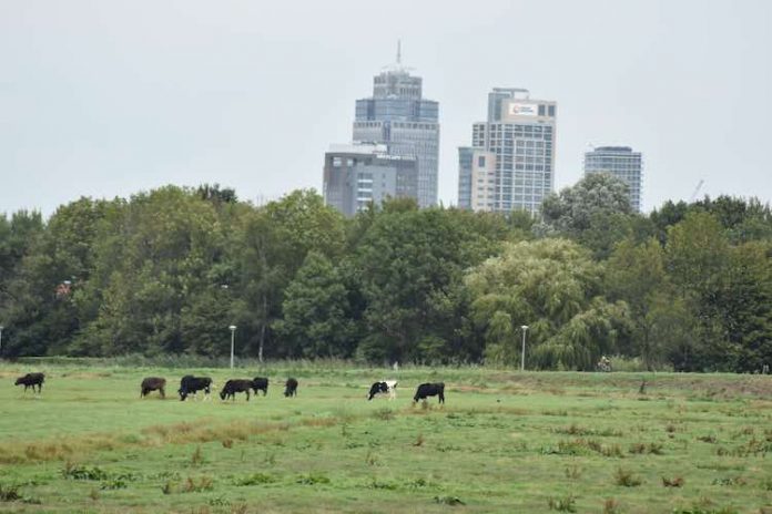 Amsterdam - Leuke dingen doen – donderdag 30 augustus Amsterdam - Leuke dingen doen – donderdag 30 augustus