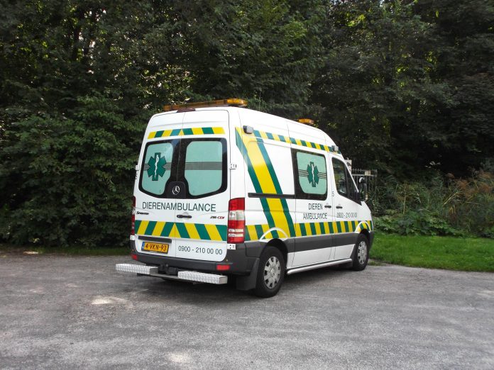 Open dag Dierenambulance Amsterdam Open dag Dierenambulance Amsterdam