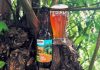 Het Amsterdamse Bird Brewery lanceert deze week speciaalbier Crow Funding