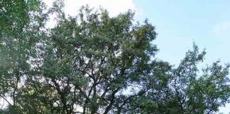 Amsterdam – Leuke dingen doen – woensdag 10 oktober Amsterdam - Leuke dingen doen – woensdag 10 oktober