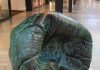 Amsterdam – Leuke dingen doen – woensdag 24 oktober Amsterdam - Leuke dingen doen – woensdag 24 oktober