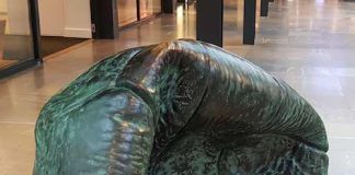 Amsterdam – Leuke dingen doen – woensdag 24 oktober Amsterdam - Leuke dingen doen – woensdag 24 oktober