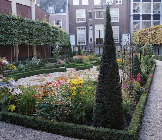 Amsterdam - Leuke dingen doen – donderdag 8 november