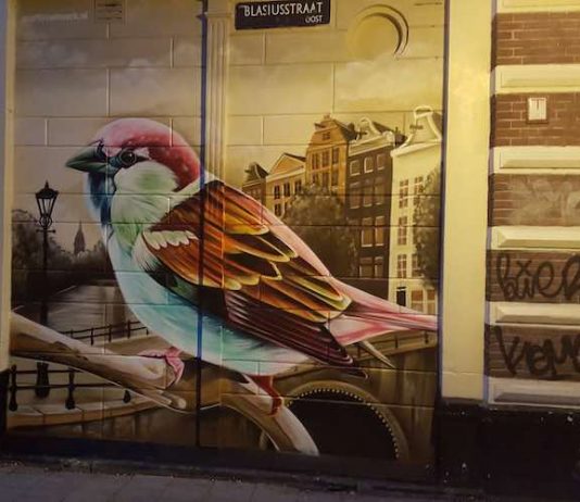Amsterdam – Leuke dingen doen – maandag 19 november Amsterdam - Leuke dingen doen – maandag 19 november