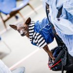 Foto album: Amsterdam Denim Days 2018