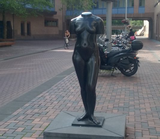Zuid-Oost maakt zich op voor Grande Finale 50 jaar Bijlmer Zuid-Oost maakt zich op voor Grande Finale 50 jaar Bijlmer