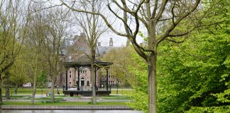 Altijd al uw eigen boom willen hebben in Amsterdam? Altijd al uw eigen boom willen hebben in Amsterdam? Voor elke Amsterdammer moet er op zijn minst één boom zijn in de stad. Bomen horen namelijk bij Amsterdam en hebben een belangrijke functie in de stad. Tenminste, dat vindt stichting De Gezonde Stad én daarom hebben ze een mooie actie ‘Bomen voor Amsterdam’ bedacht.