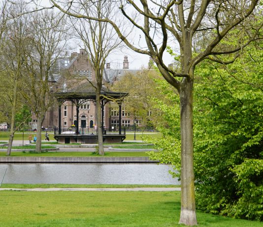 Altijd al uw eigen boom willen hebben in Amsterdam? Altijd al uw eigen boom willen hebben in Amsterdam? Voor elke Amsterdammer moet er op zijn minst één boom zijn in de stad. Bomen horen namelijk bij Amsterdam en hebben een belangrijke functie in de stad. Tenminste, dat vindt stichting De Gezonde Stad én daarom hebben ze een mooie actie ‘Bomen voor Amsterdam’ bedacht.