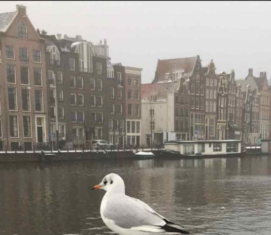 Amsterdam - Leuke dingen doen – dinsdag 18 december