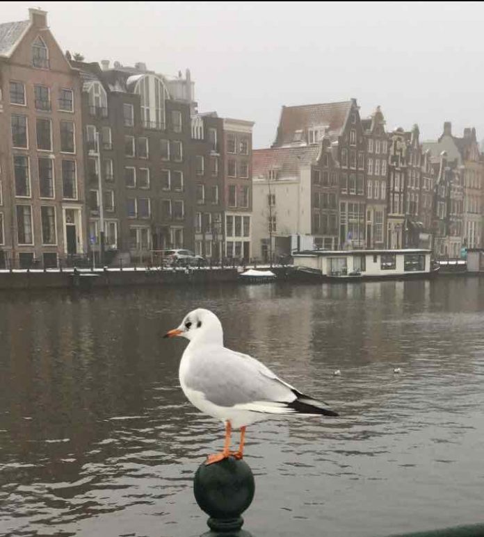 Amsterdam - Leuke dingen doen – dinsdag 18 december