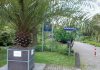 Gezellige Wintermarkt in de Botanische tuin Zuidas Gezellige Wintermarkt in de Botanische tuin Zuidas