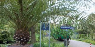 Gezellige Wintermarkt in de Botanische tuin Zuidas