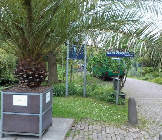 Gezellige Wintermarkt in de Botanische tuin Zuidas Gezellige Wintermarkt in de Botanische tuin Zuidas