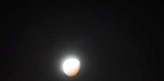 Prachtige verschijning ‘Bloedmaan’ boven Amsterdam Prachtige verschijning 'Bloedmaan' boven Amsterdam