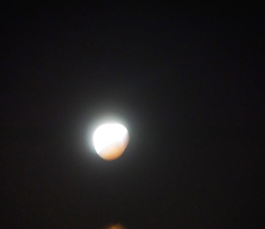 Prachtige verschijning ‘Bloedmaan’ boven Amsterdam Prachtige verschijning 'Bloedmaan' boven Amsterdam