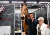 Gerard Joling en Britt Dekker stelen show op Jumping Amsterdam