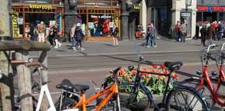 Gratis tulpen plukken op de Dam Gratis tulpen plukken op de Dam
