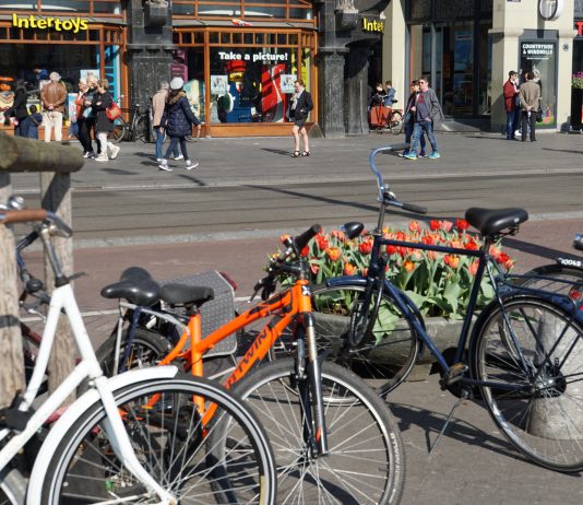 Gratis tulpen plukken op de Dam Gratis tulpen plukken op de Dam