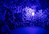 Musea in Amsterdam: Expositie 'Connecting Time' in Moco Museum