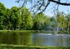 Vondelparkloop 2019 tot aan de nok toe uitverkocht
