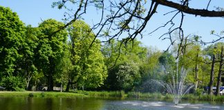 Vondelparkloop 2019 tot aan de nok toe uitverkocht Vondelparkloop 2019 tot aan de nok toe uitverkocht