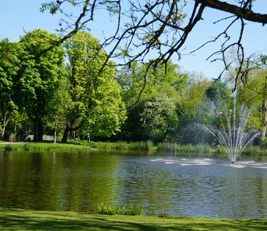 Vondelparkloop 2019 tot aan de nok toe uitverkocht