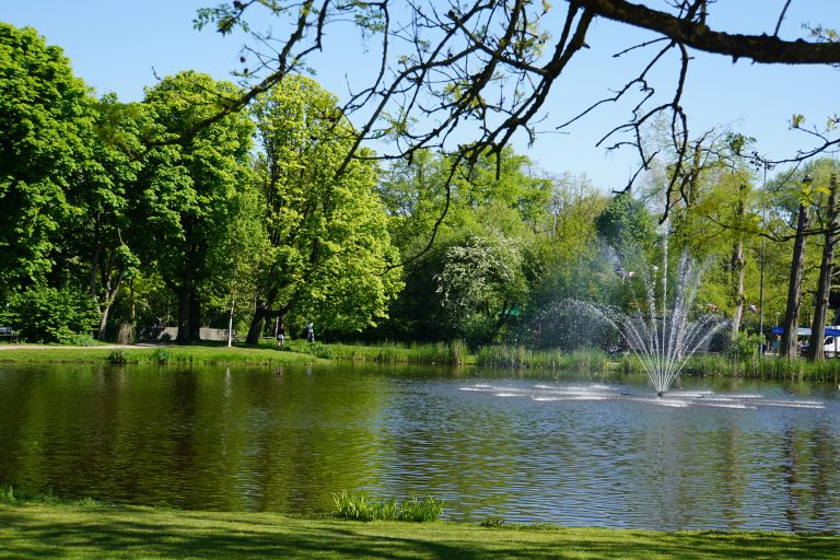 Vondelparkloop 2019 tot aan de nok toe uitverkocht