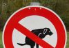 Regels voor honden bezitters in Amsterdam