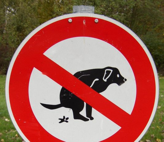 Regels voor honden bezitters in Amsterdam Regels voor honden bezitters in Amsterdam