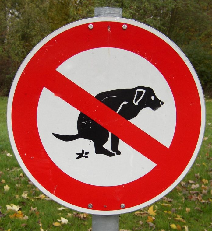 Regels voor honden bezitters in Amsterdam Regels voor honden bezitters in Amsterdam